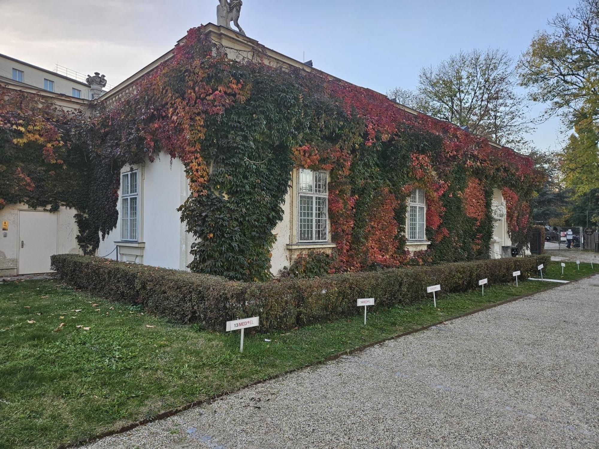 Mauthaus Lichtenstein Βιέννη Εξωτερικό φωτογραφία